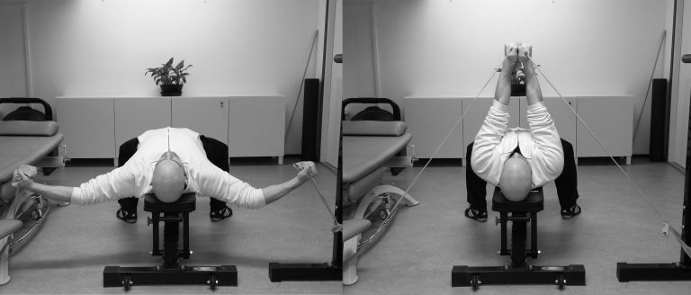 TOP 8 rintalihasharjoitteet